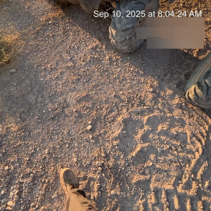 2022 Club Car CA1700D Canopy, Diesel, 4 Passenger