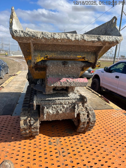 2019 WACKER NEUSON DT10