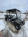 2023 Club Car CA1700D Canopy, Diesel, 4 Passenger