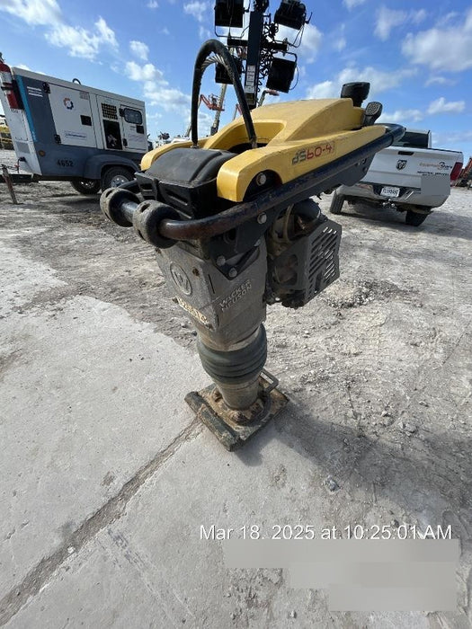 2020 WACKER NEUSON BS60-4As