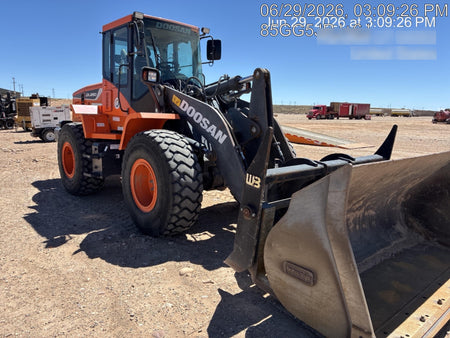 2019 DOOSAN DL250-5