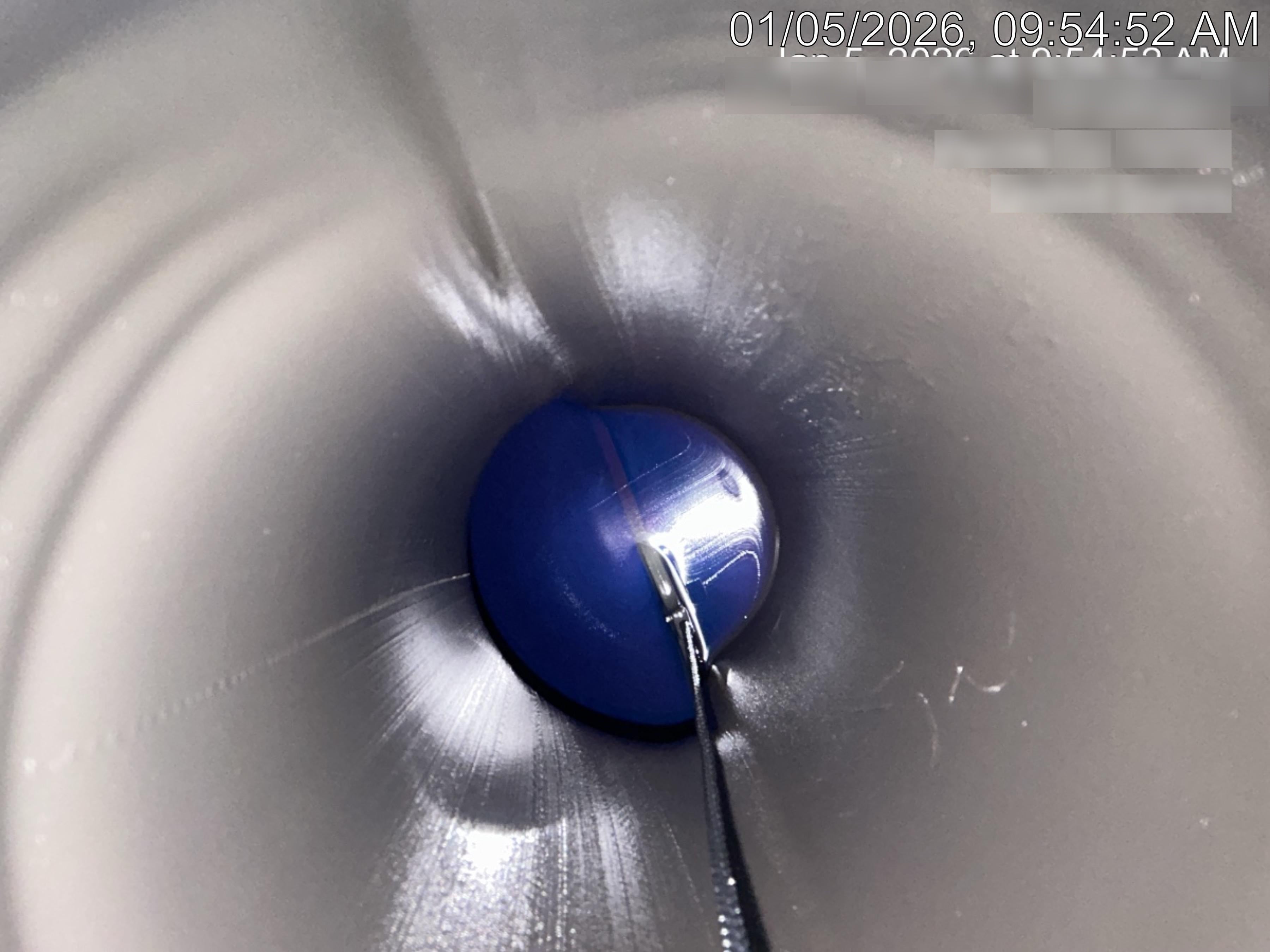 2025 WYLIE EXP-550L-S-HOTG