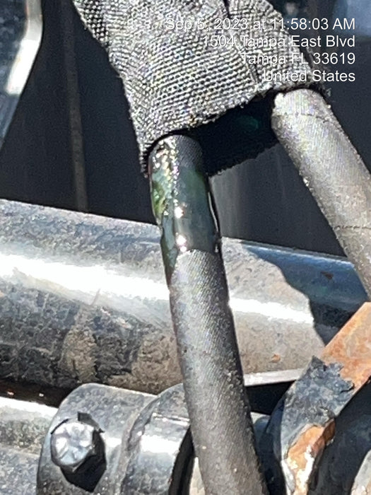 2022 BLUE DIAMOND 106525