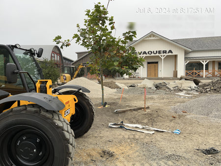 2024 JCB 509-42