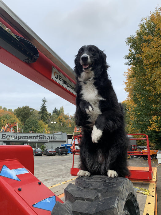 2020 Kubota SVL95-2S Canopy, Standard Tracks, Standard Flow