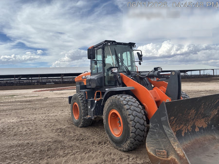 2021 DOOSAN DL250-7