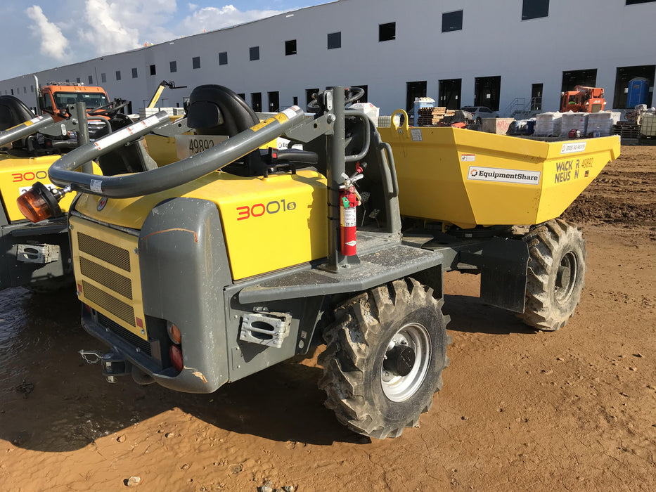 2019 WACKER NEUSON 3001