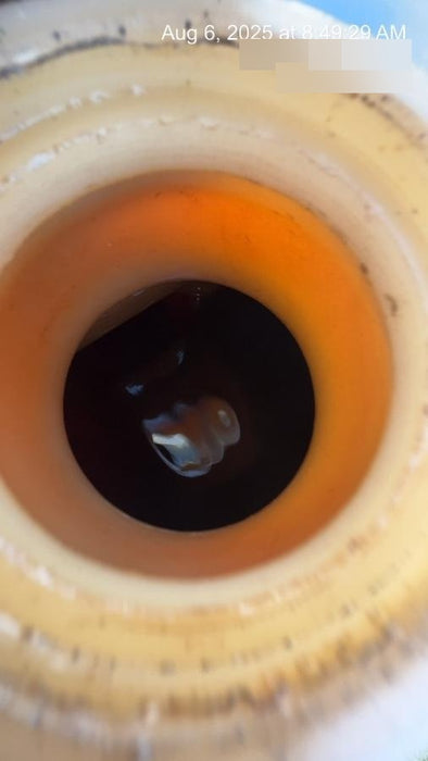 2019 Wacker Neuson LTV6L-MH Standard