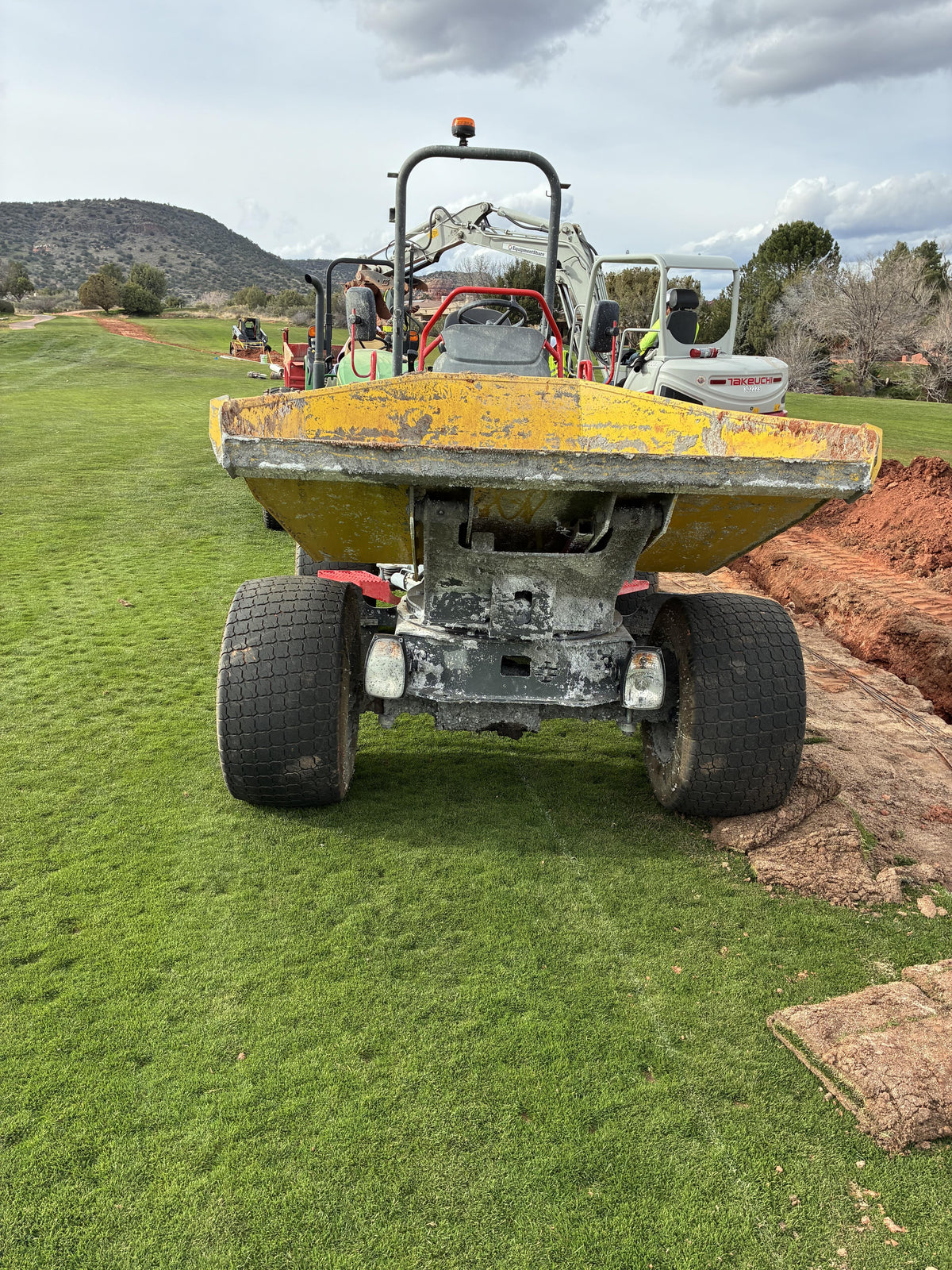 2025 WACKER NEUSON DW310 ROPS