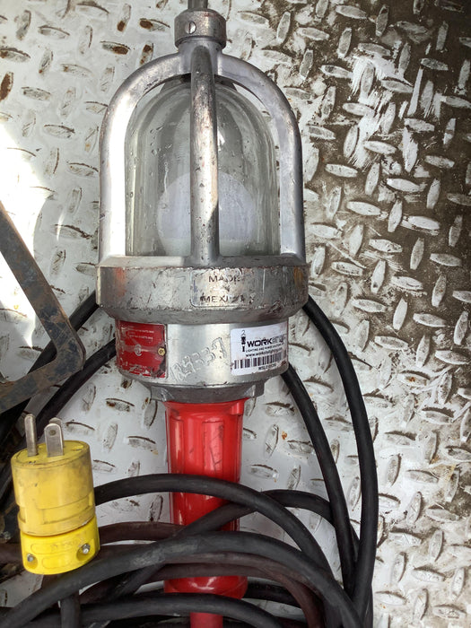 2021 WORKSITE LIGHTING DWXPLEDIL50-12V