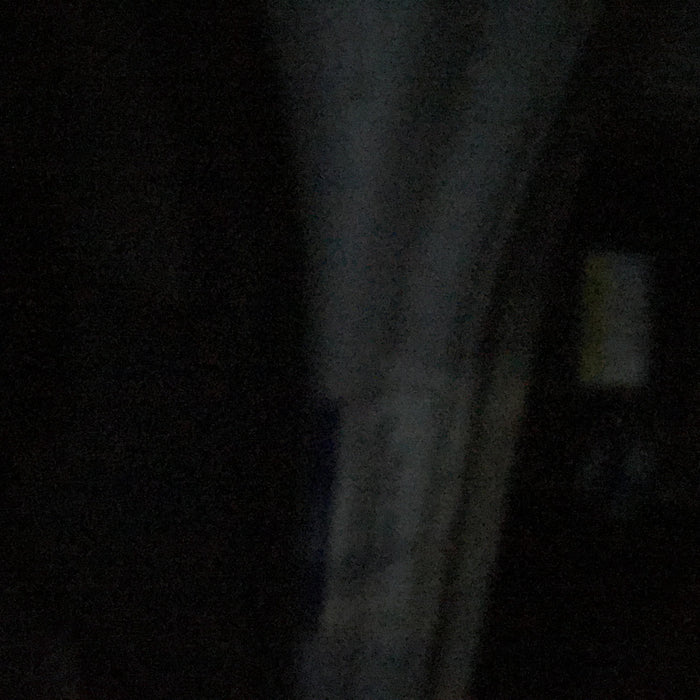 2020 GENIE GS-5390 RT