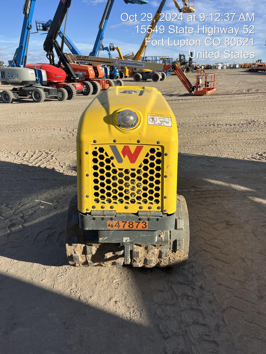 2024 WACKER NEUSON RTLx-SC3