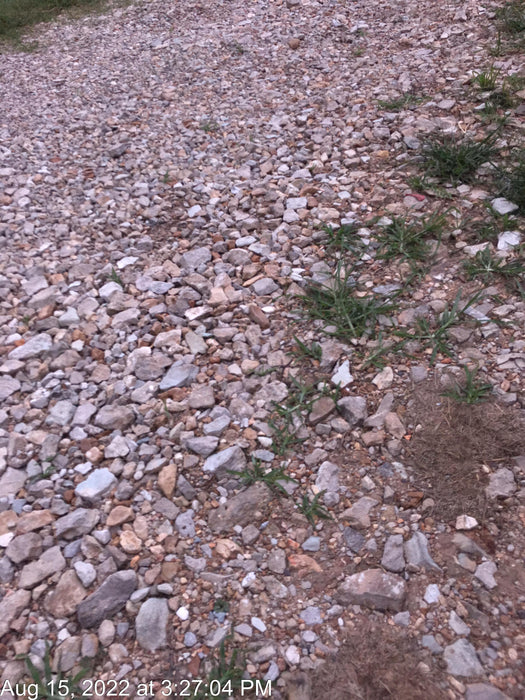 2022 ATLAS COPCO QAS200