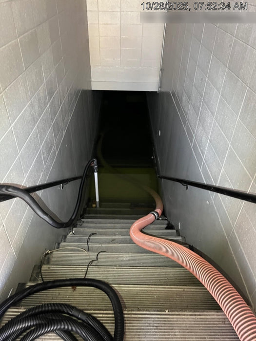 2022 PIONEER PP44S10L761-D2.9L4