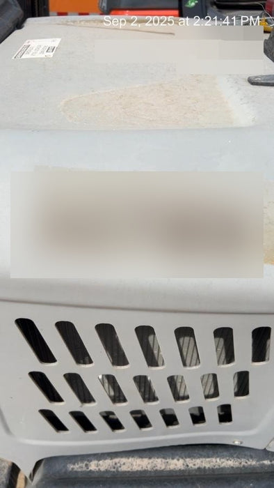 2019 WACKER NEUSON LTV6K-MH