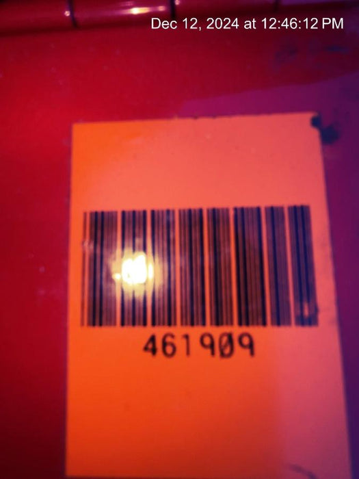 2024 LINCOLN ELECTRIC Ranger 305 LPG