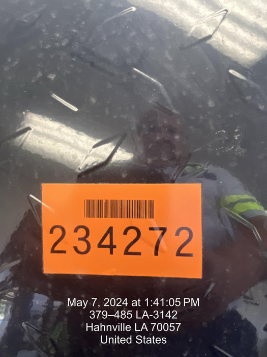 2022 MASTER MHD-42-BDF-C