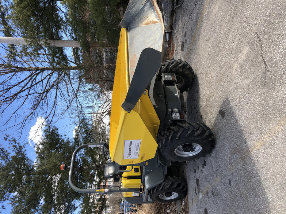 2019 WACKER NEUSON 3001