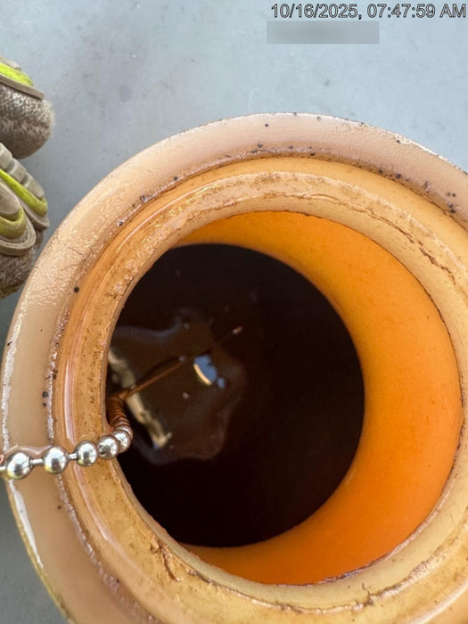 2019 WACKER NEUSON LTV6K-LED