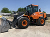 2021 DOOSAN DL250-5