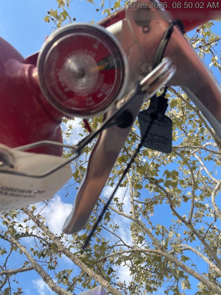 2019 Skyjack SJIII-3219 Standard w/Trojan Batteries