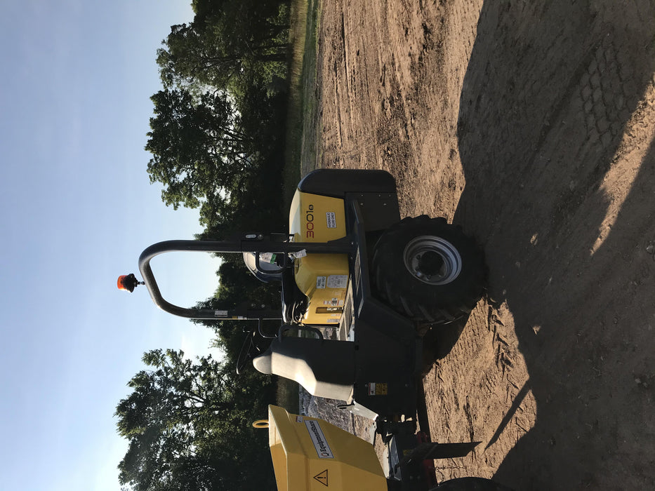 2019 WACKER NEUSON 3001