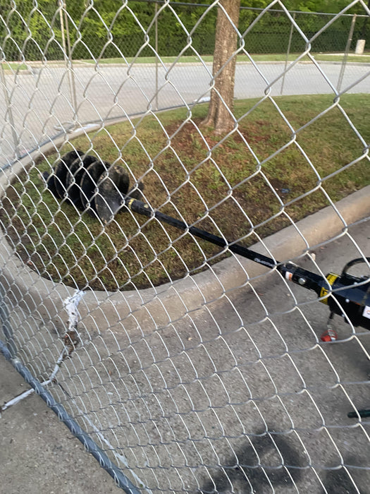 2023 AUGER TORQUE 3300-30