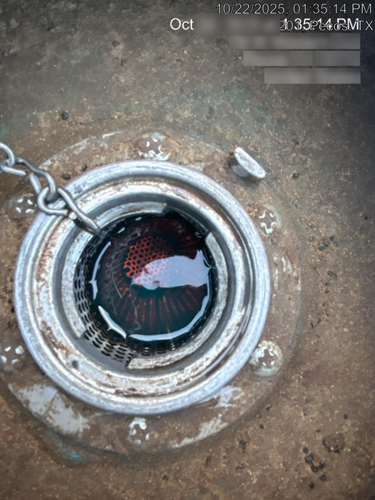 2017 Genie GTH-1056 Genie GTH1056, Solid Tires, 60" carriage, Light Kit, Open ROPS