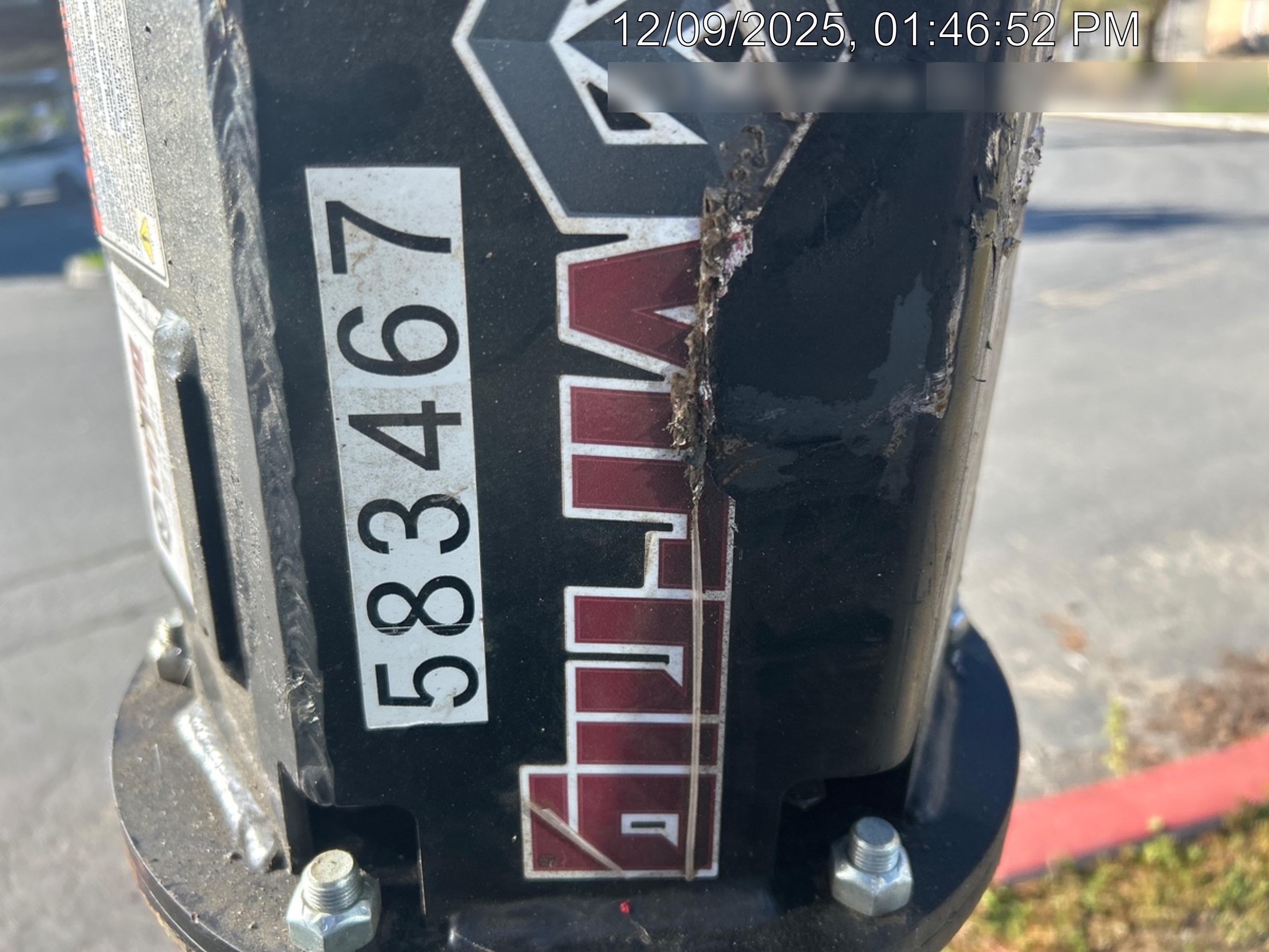 2025 VIRNIG ADV36