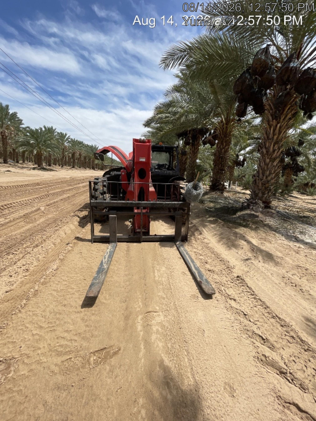 2026 MANITOU MTA842