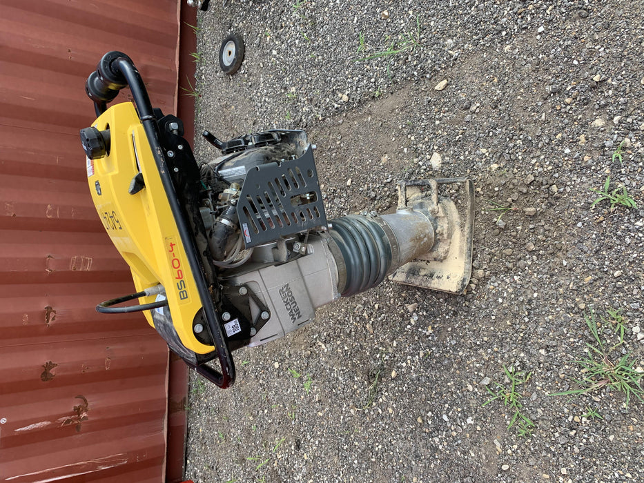2019 WACKER NEUSON BS60-4As