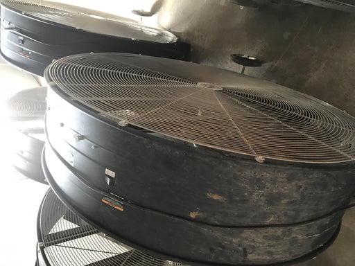 2019 STRONGWAY 49935