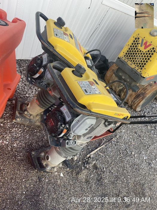 2021 WACKER NEUSON BS60-4As