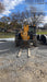 2019 JCB 506-36 Canopy, 74 HP, FF Tires, STD Worklight, Beacon, Aux Hydraulics, Lifting Eye, Back up Alarm 48" Carriage/48" Forks