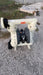 2021 INGERSOLL RAND PD20P-FPS-PTT