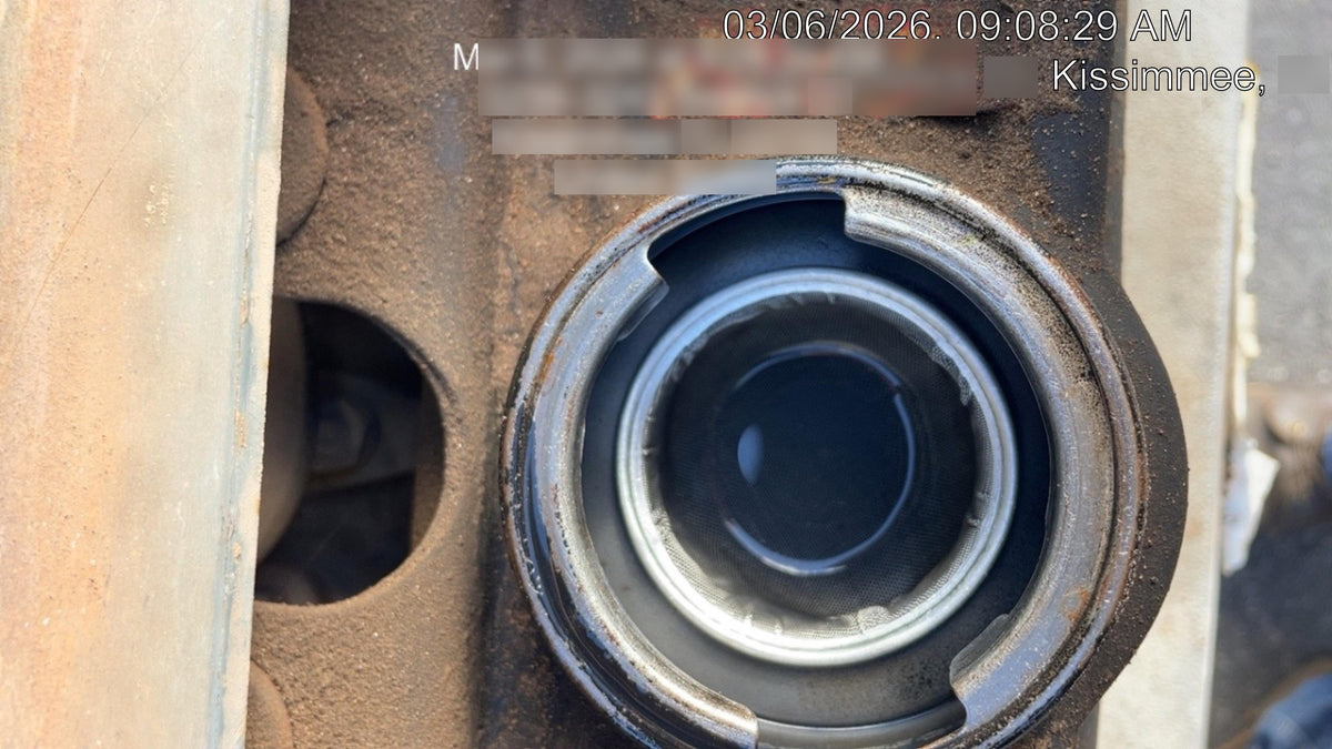 2021 Wacker Neuson DPU6555 DSL Vibroplate