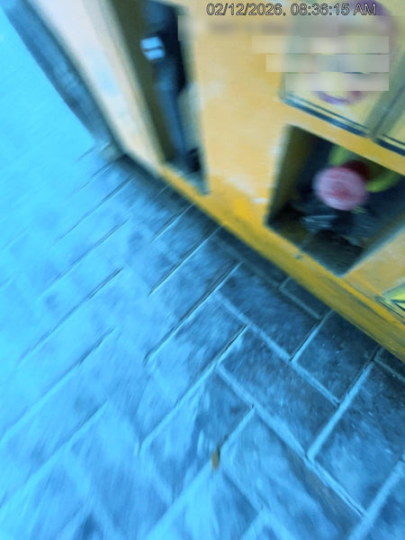 2021 JCB S3246E