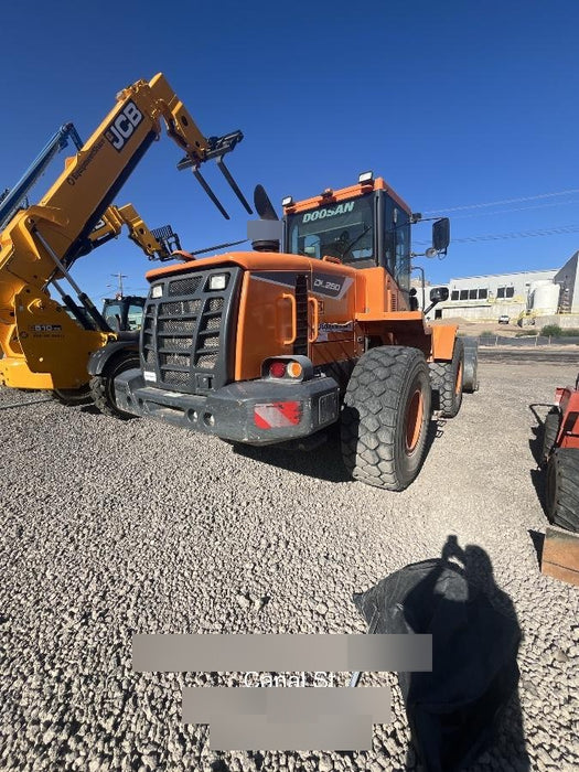 2021 DOOSAN DL250-5