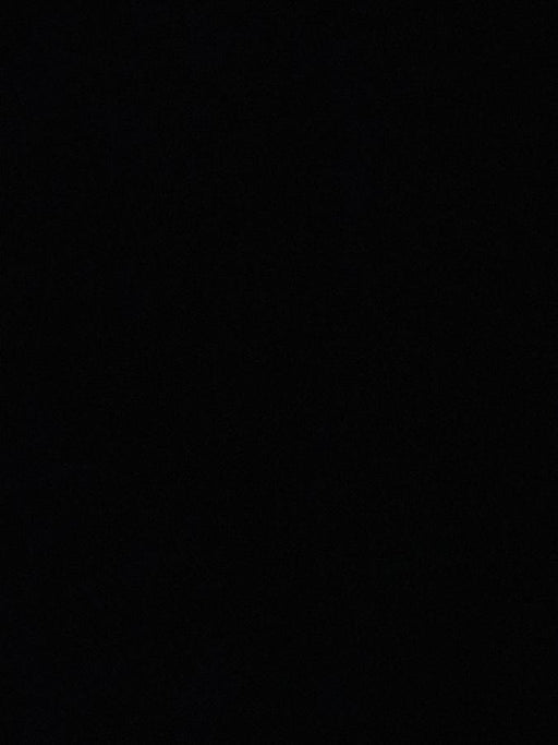 2022 THUNDER CREEK EV500