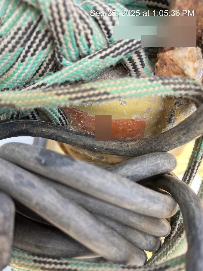 2021 WACKER NEUSON PST2