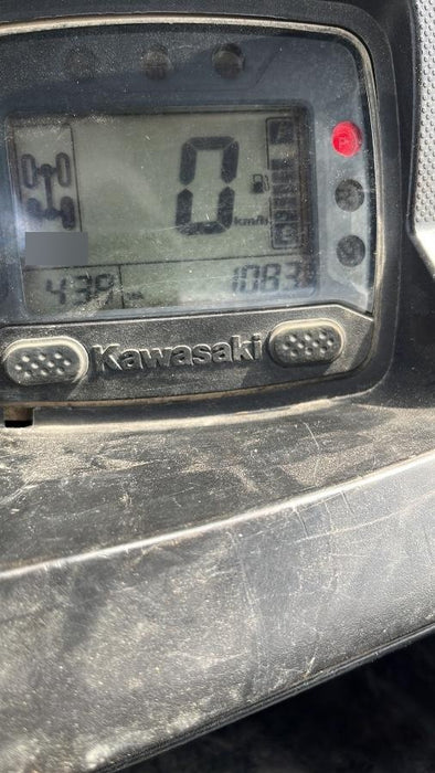 2019 KAWASAKI Mule PRO-DXT (Half Door)