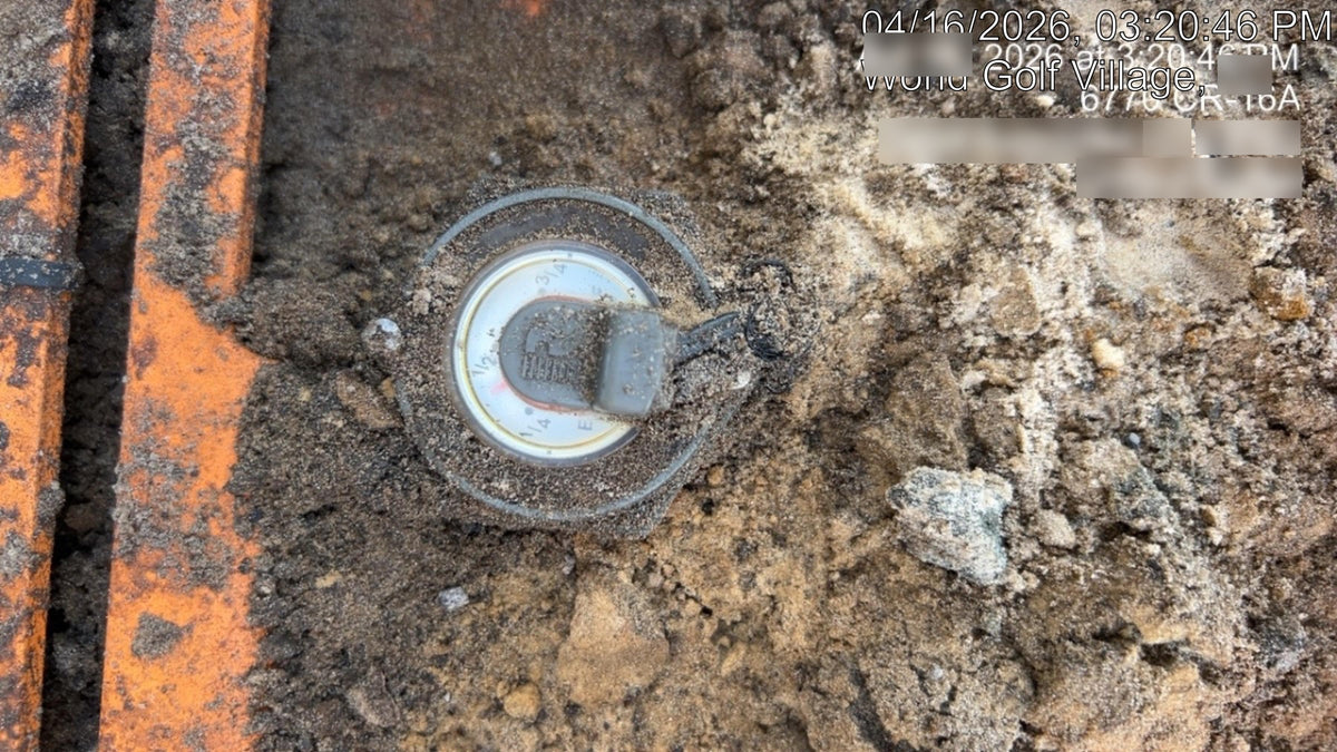 2021 PIONEER PP66S12L71-TD2.9L4