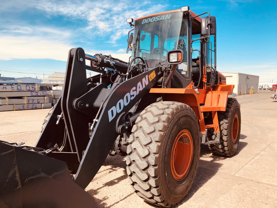 2019 DOOSAN DL250-5