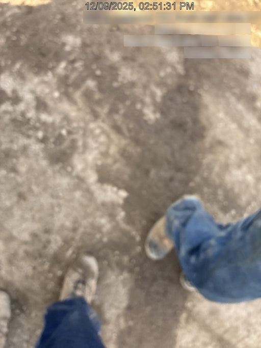 2018 WACKER NEUSON LTV6L-MH