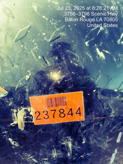 2022 MASTER MHD-42-BDF-C