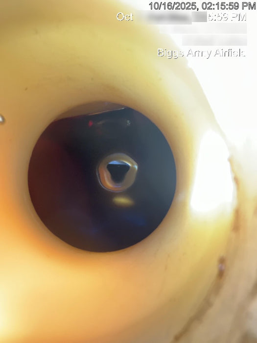 2018 Wacker Neuson LTV6L-MH Wacker Neuson LTV6L Mobile Light Tower w/Fuel Level Sensor Installed