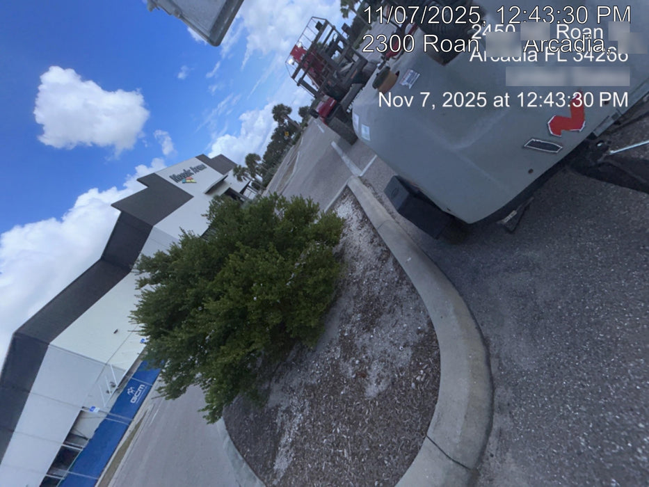 2019 WACKER NEUSON LTV6K-LED