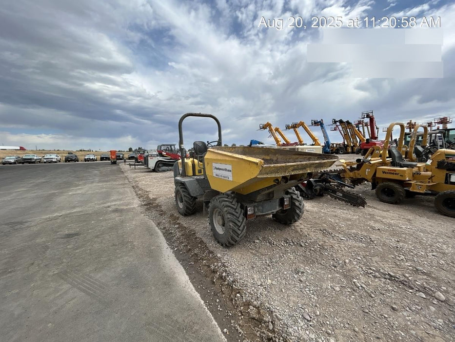 2019 WACKER NEUSON 3001