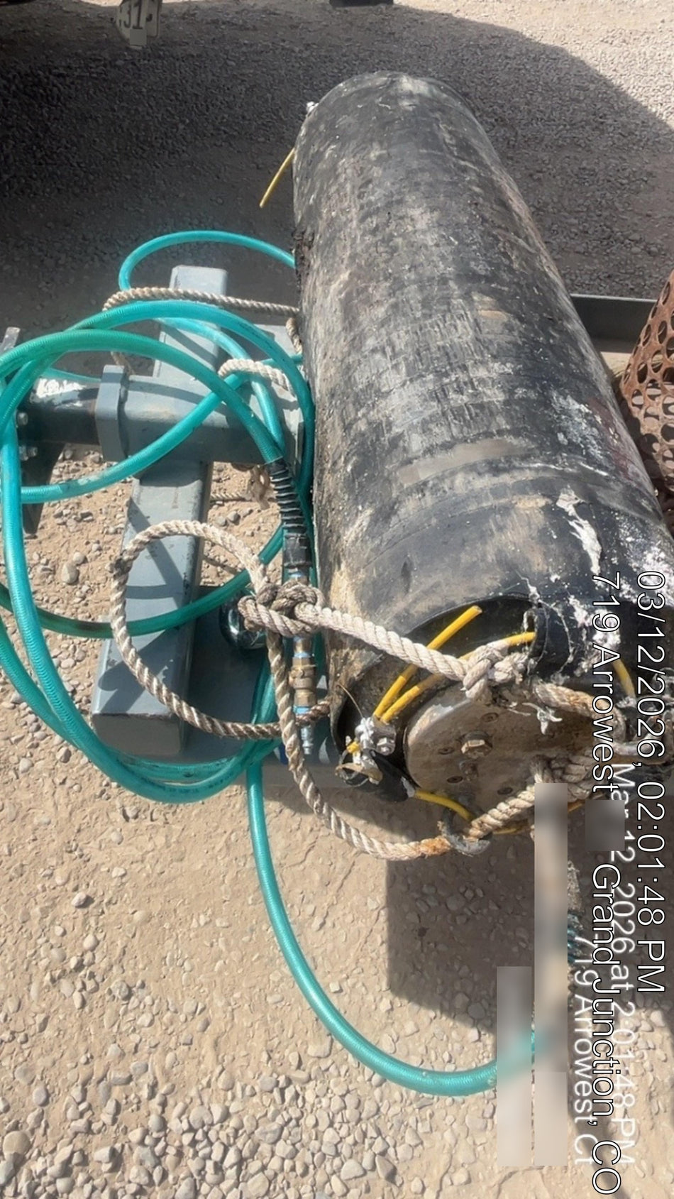 2023 CHERNA C694248