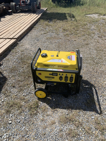 2021 CHAMPION POWER EQUIPMENT 201033C
